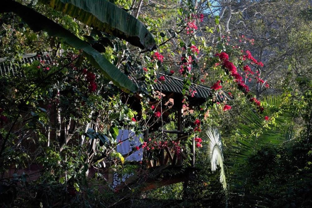 Mariri Jungle Lodge Alto Paraíso de Goiás Екстериор снимка