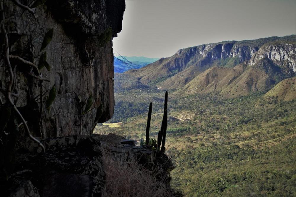 Mariri Jungle Lodge Alto Paraíso de Goiás Екстериор снимка