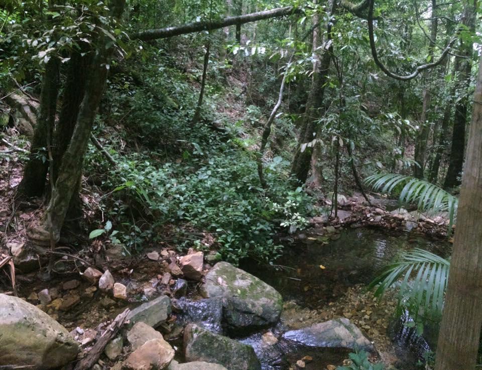 Mariri Jungle Lodge Alto Paraíso de Goiás Екстериор снимка