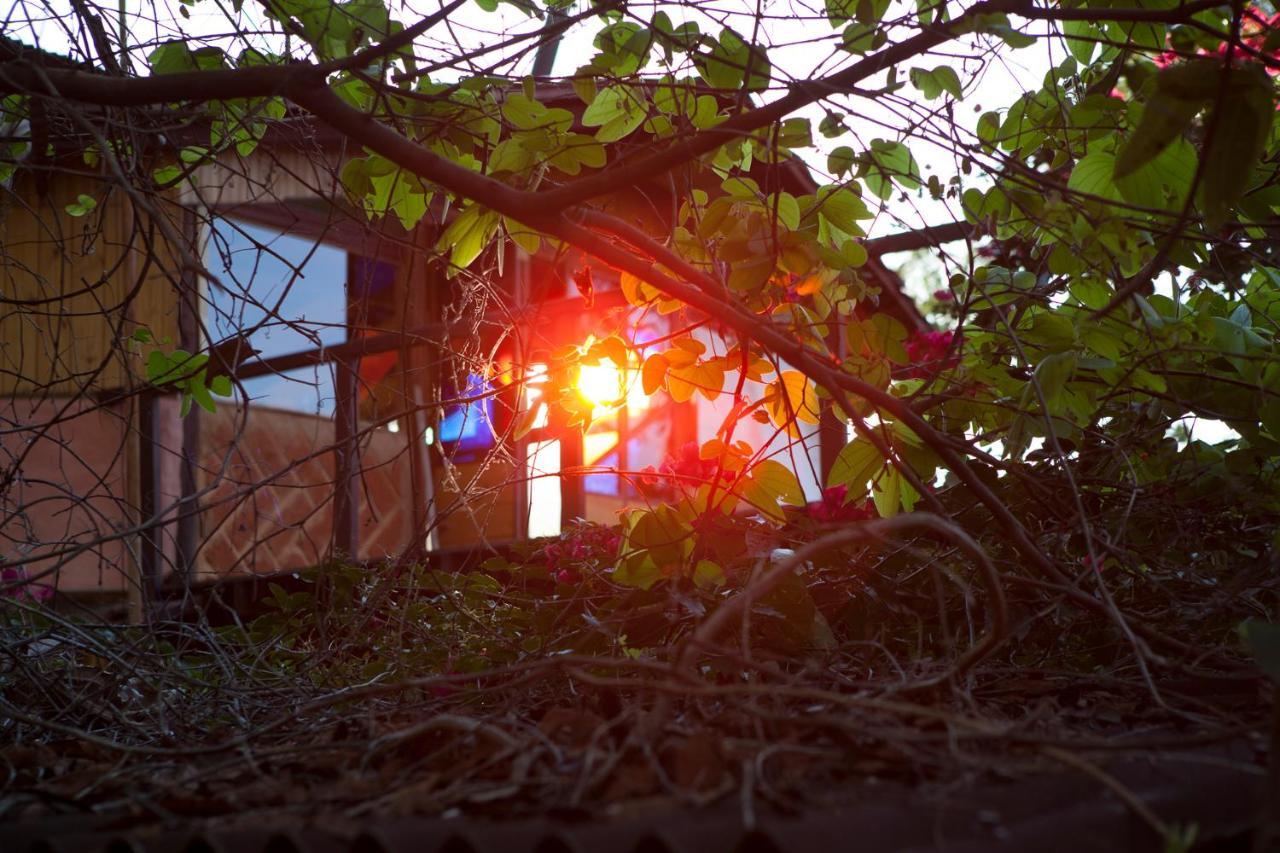 Mariri Jungle Lodge Alto Paraíso de Goiás Екстериор снимка